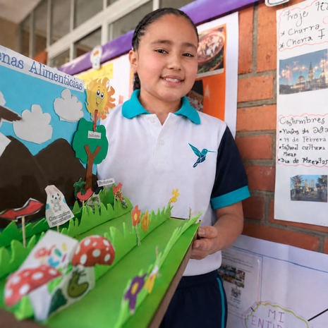 primaria33